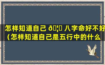 怎样知道自己 🦟 八字命好不好（怎样知道自己是五行中的什么 🦋 命）